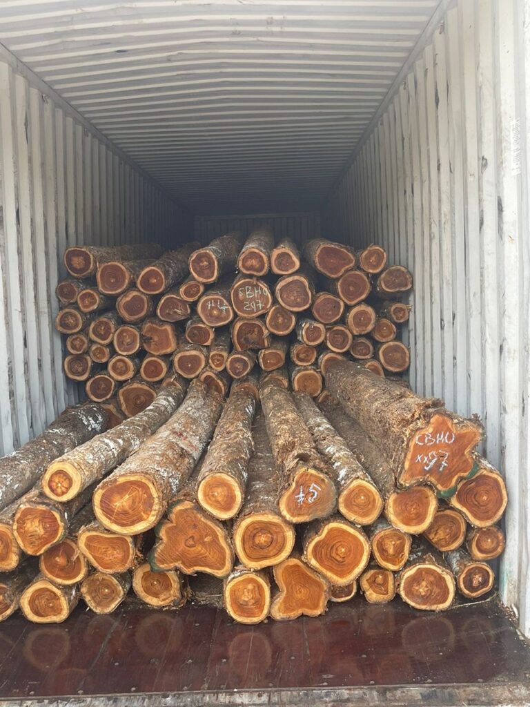 COLOMBIA (LATIN AMERICA ) TEAK WOOD