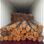 COLOMBIA (LATIN AMERICA ) TEAK WOOD