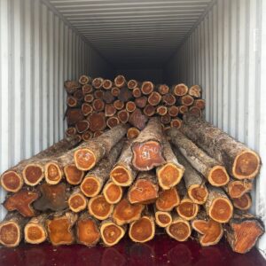 COLOMBIA (LATIN AMERICA ) TEAK WOOD