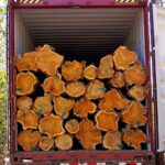 COSTA RICA (LATIN AMERICA ) TEAK WOOD