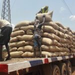 RAW CASHEW NUTS AFRICA 1